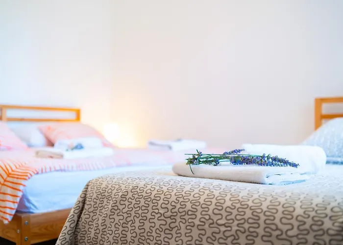 House Of Mile זאדאר