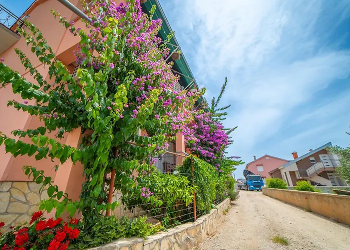 House Of Mile זאדאר