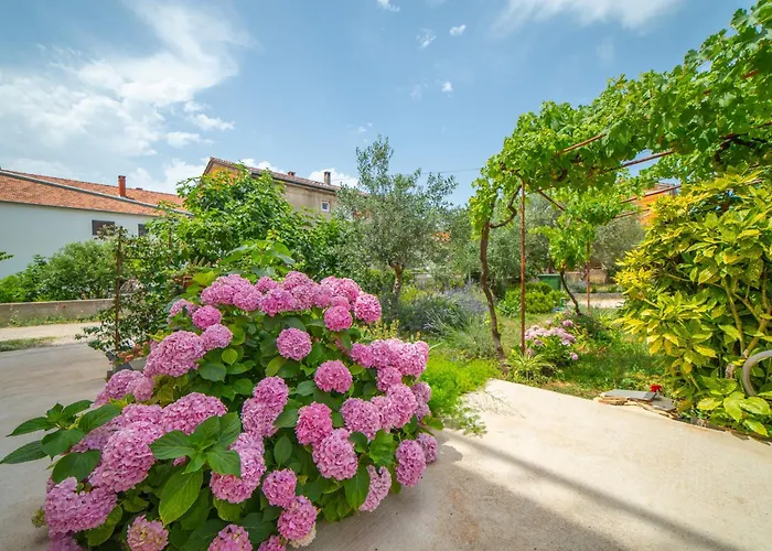 בית הארחה House Of Mile 4*