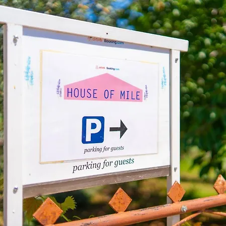 House Of Mile * Zára