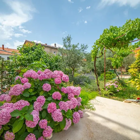 Pensjonat House Of Mile 4*